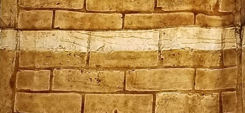 Prithika Deivasigamani